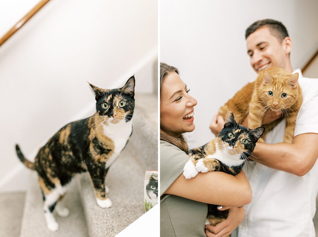 virginia in home engagement portraits with pizza and cats
