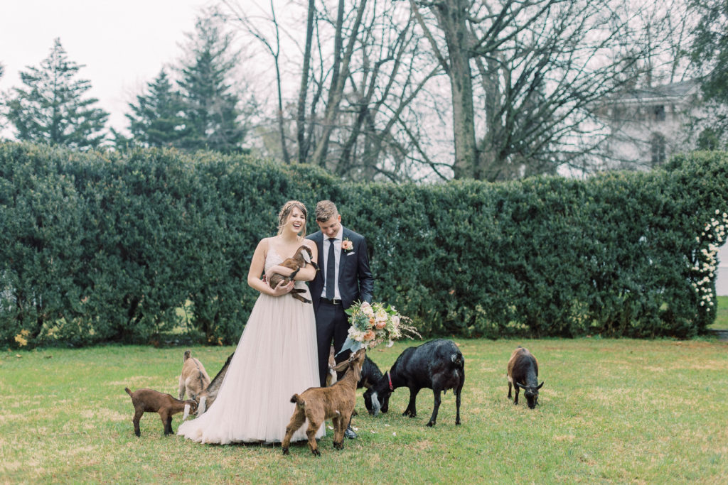 wedding day with farm animals