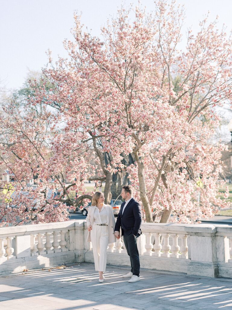 Magnolia Portraits in DC