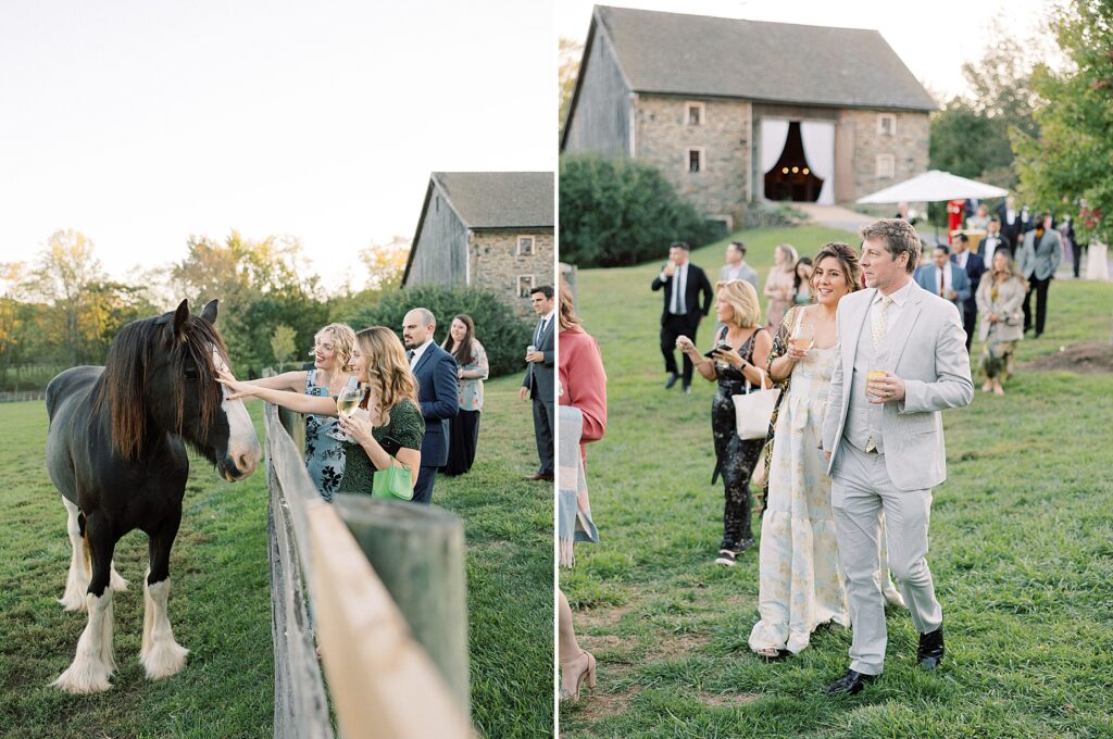 Sylvanside Farm Wedding in Virginia