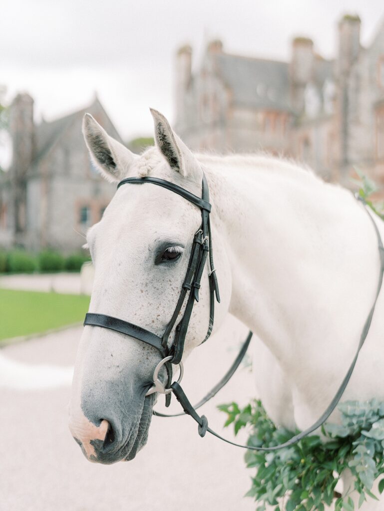 Intimate wedding in castle in Ireland