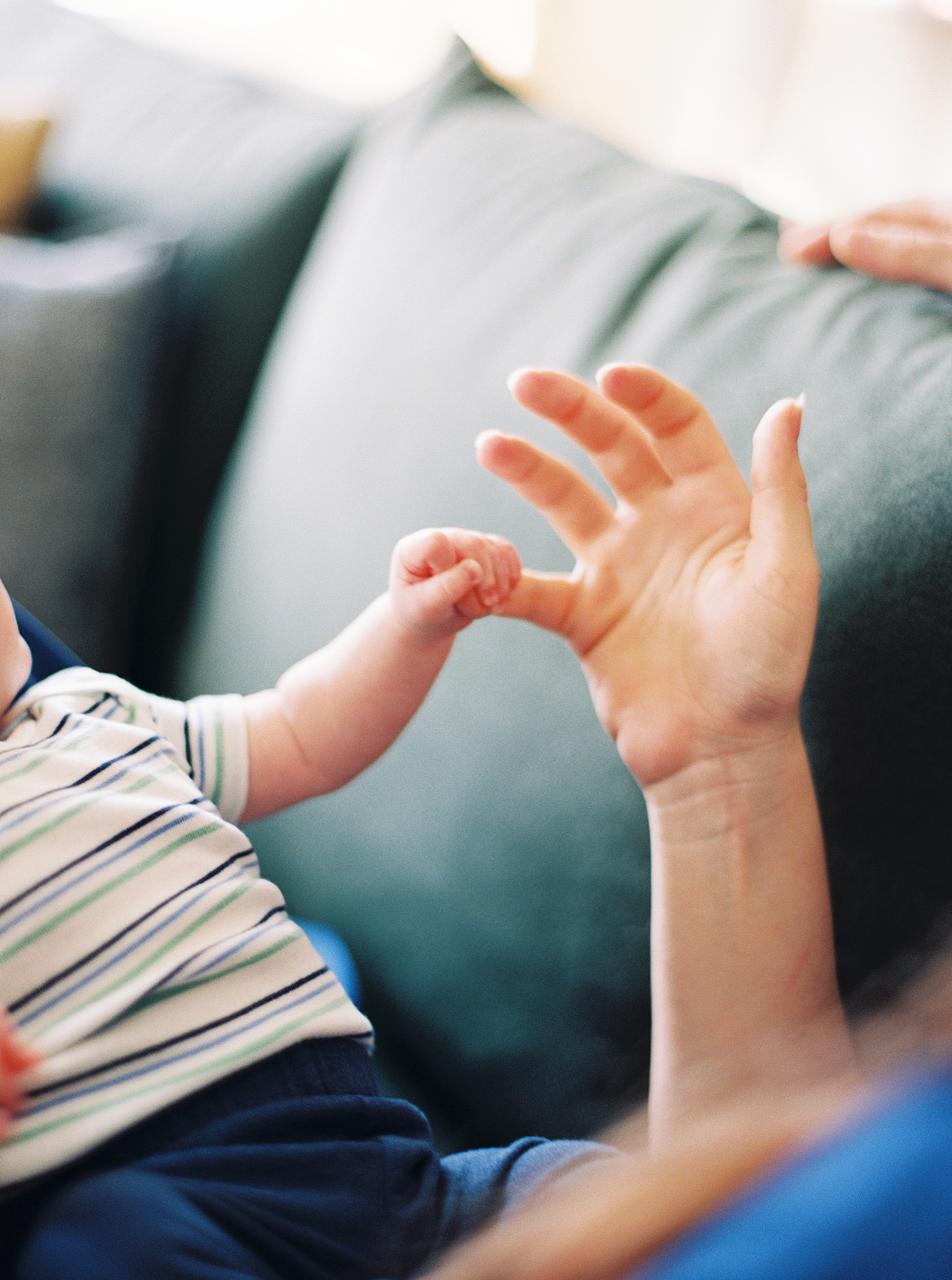 newborn family portraits in northern virginia