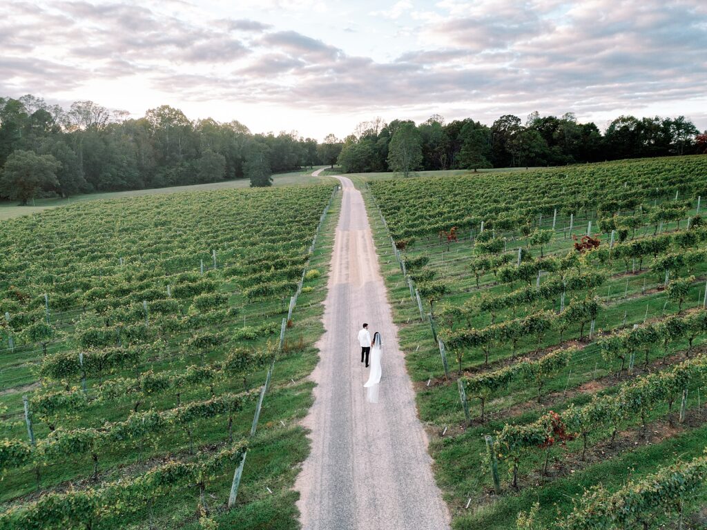 Mt Ida Farm Wedding in Virginia Fall