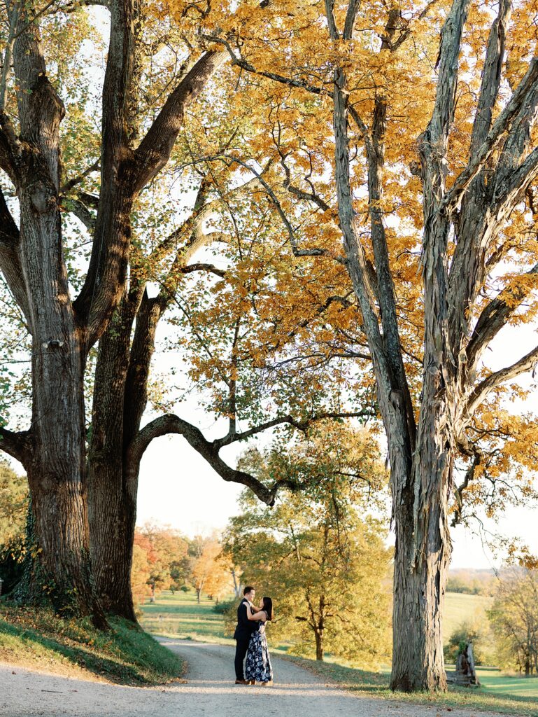 Oatlands Estate engagement portraits in Virginia